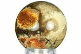 Polished Agatized Fossil Coral Sphere - Indonesia #311736-1